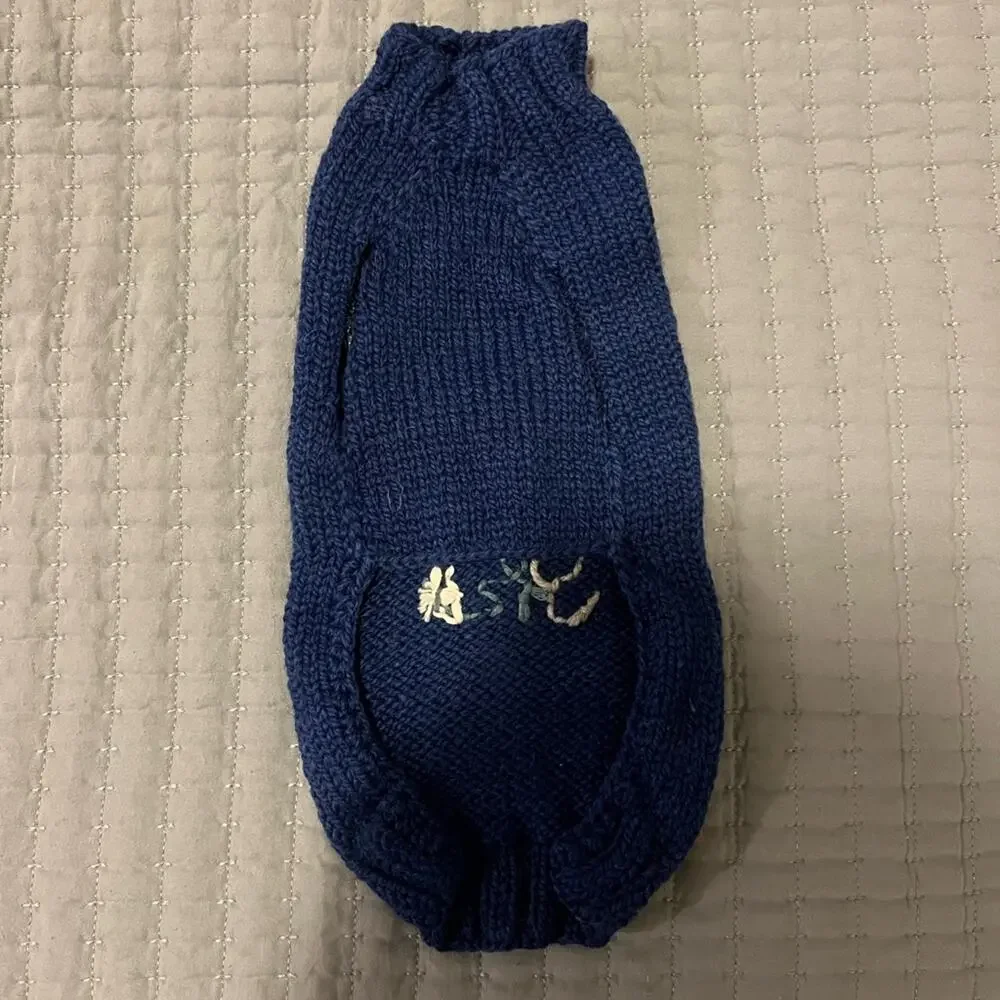 Anthropologie Apres Ski Blue Dog Sweater